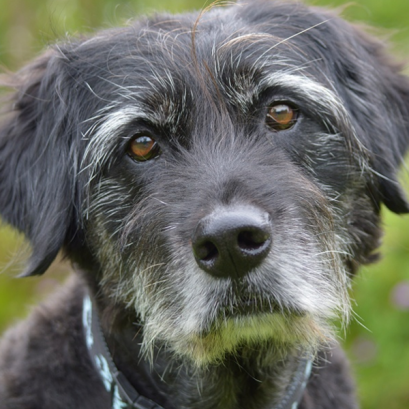 การตรวจสุขภาพทั่วไป (Annual Health Check Program)